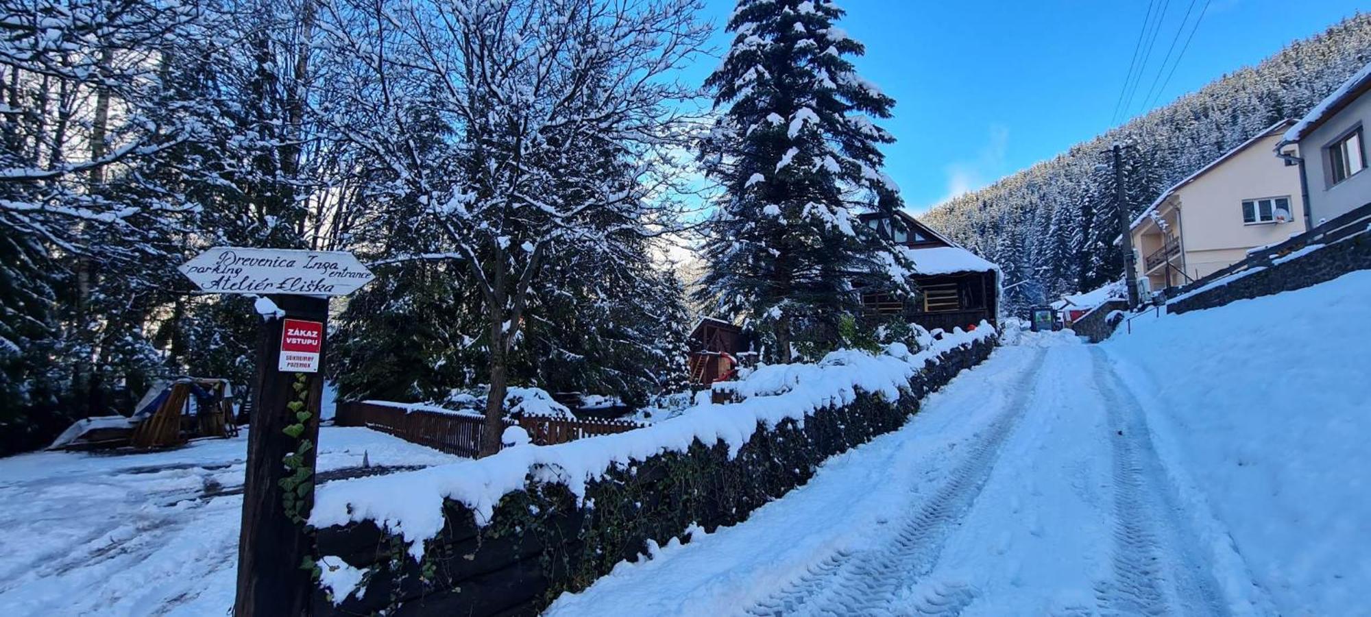 Villa Drevenica Inga Staré Hory Exterior foto